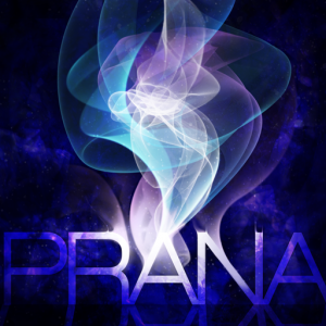 PRANA.png