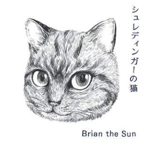 薛定谔的猫 (Brian the Sun).png