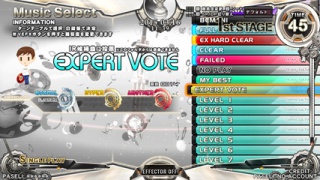 Expert vote01.jpg